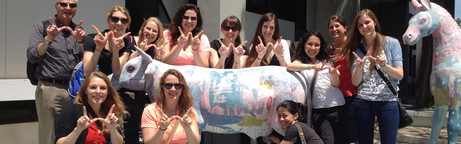 a group of health professionals