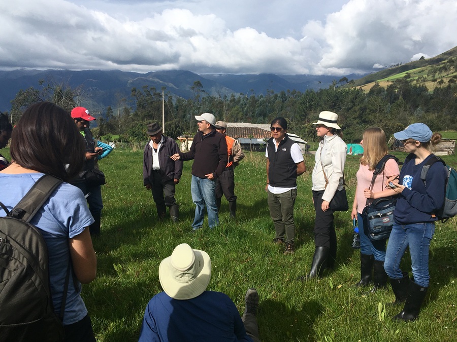 Students in the UW Ecuador Global Health Field Course meeting with an agriculture expert and learning about methods to improve pasture quality.